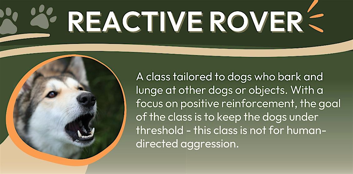 Reactive Rover - Monday, April 8th at 6:30pm