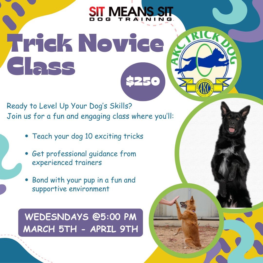 Novice Trick Dog Class