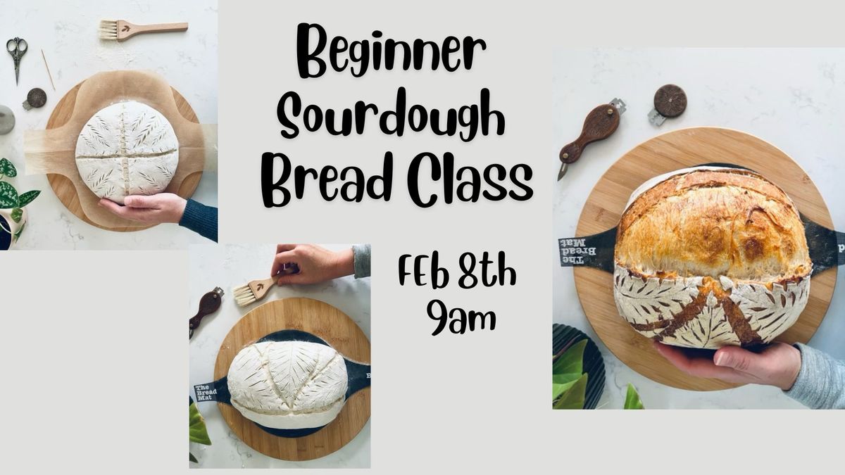 Beginner Sourdough Bread Class