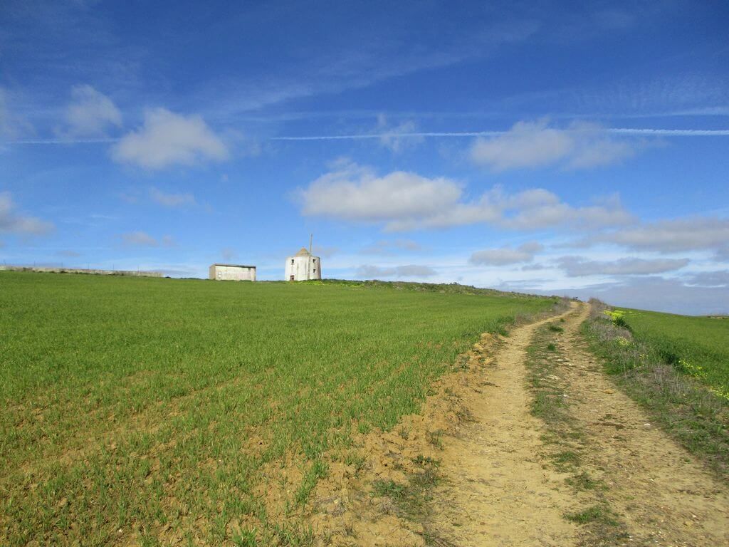 Caminhando em campos encantados