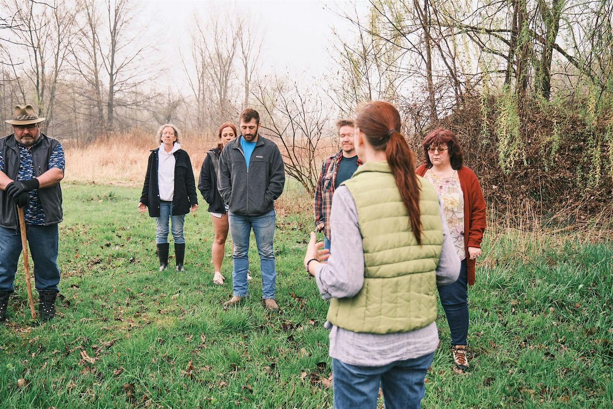 Forest Bathing Michigan at Chikaming Open Lands Sugarwood Preserve