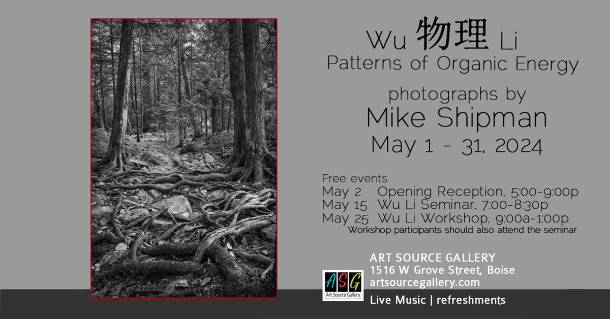 Wu Li: Patterns of Organic Energy a photography exhibit by Mike Shipman