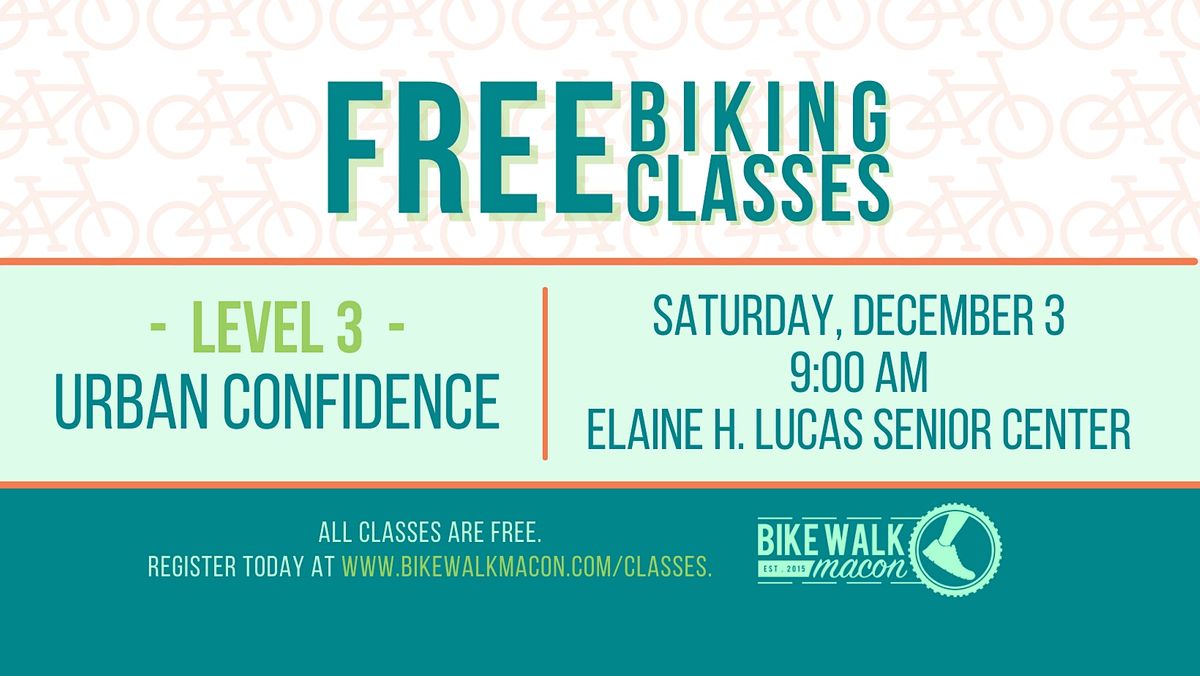 where to buy an adult bike