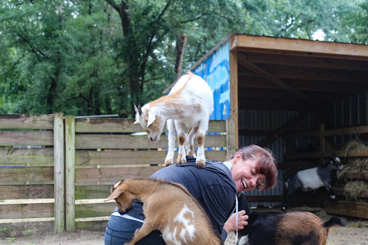 Goat Yoga with Crystal in Tallahassee