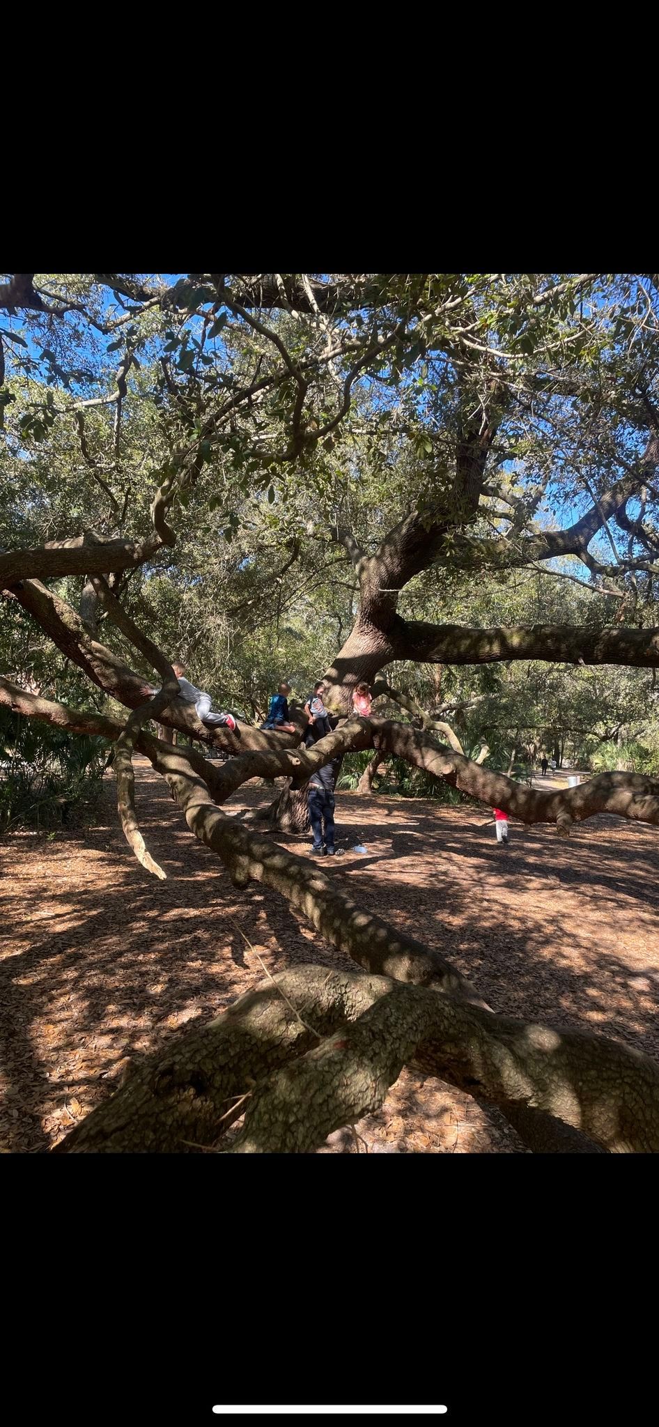 Tuesday park meetup @ Eagle Lake Park