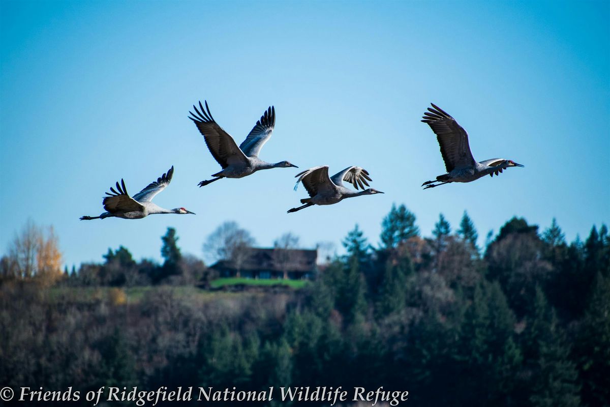 Sandhill Crane Tour 2024 Saturday PM