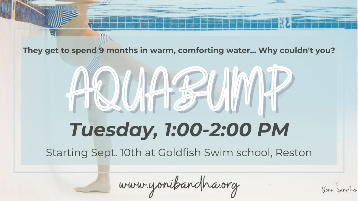 Aquabump - First prenatal program combining water aerobics and prenatal yoga