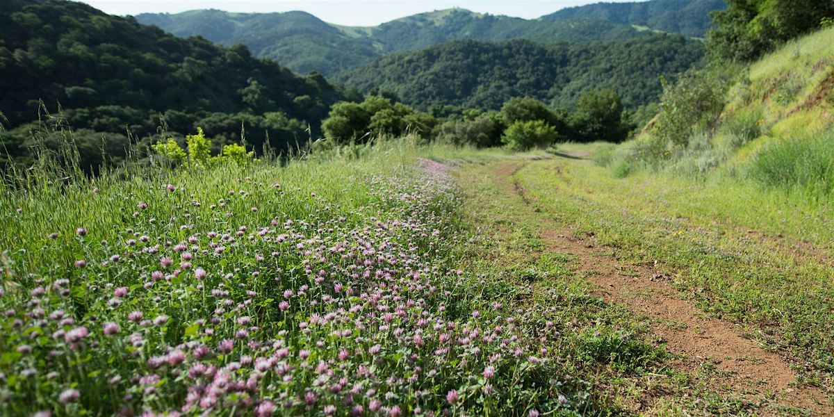 Morning Hike at Rancho Ca\u00f1ada del Oro