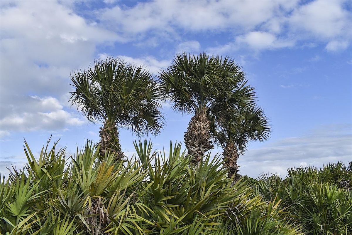 EcoWalk: Unique Preserves of Sarasota County - S. Venice Lemon Bay Preserve