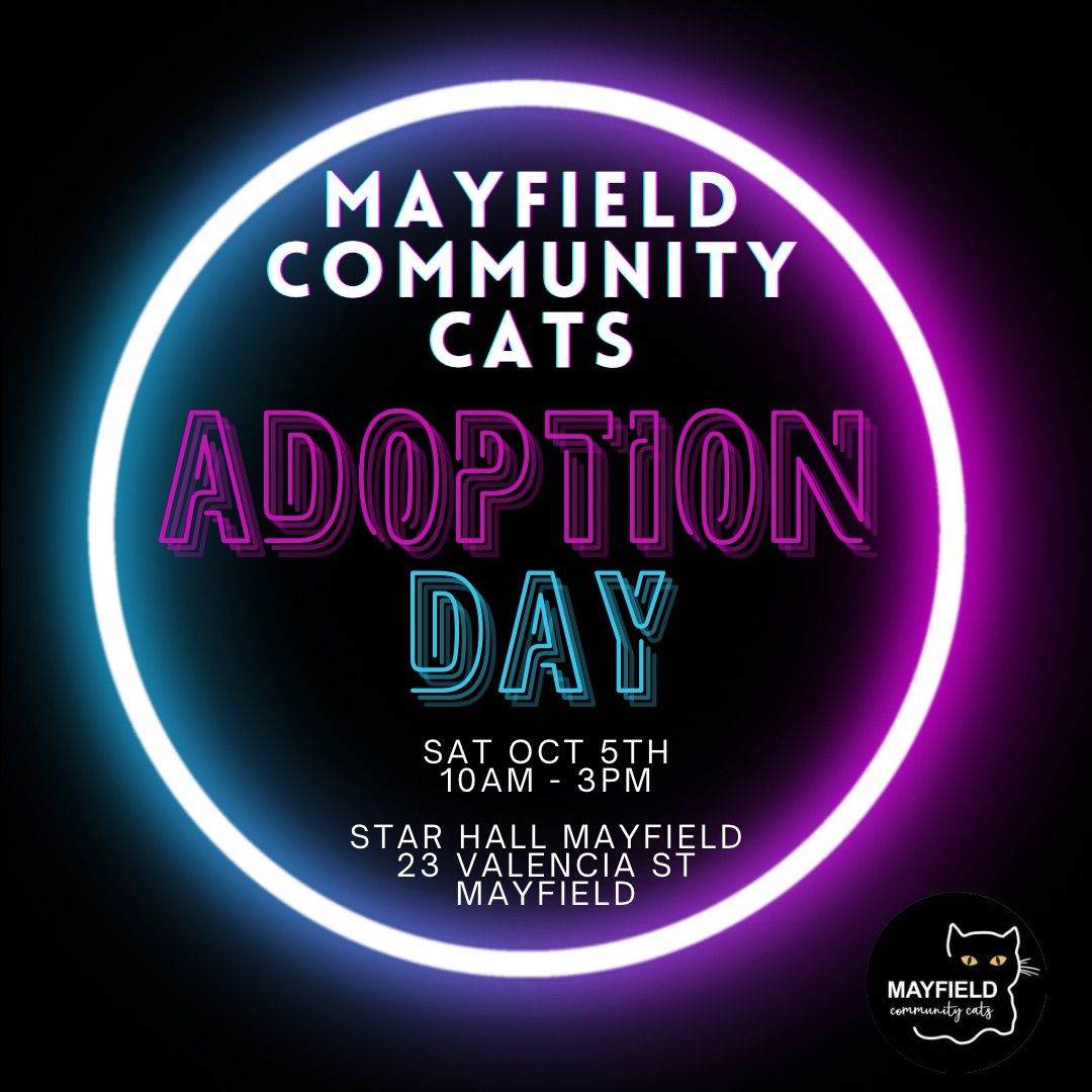 Cat Adoption Day