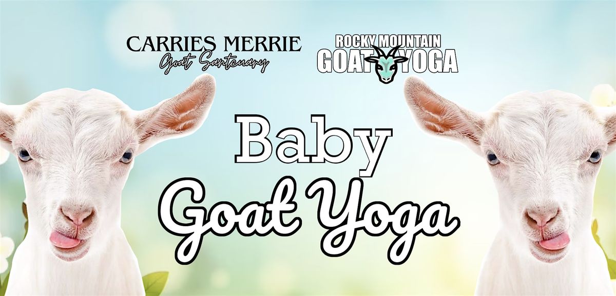 Baby Goat Yoga - July  27th (CARRIES MERRIE GOAT SANCTUARY)
