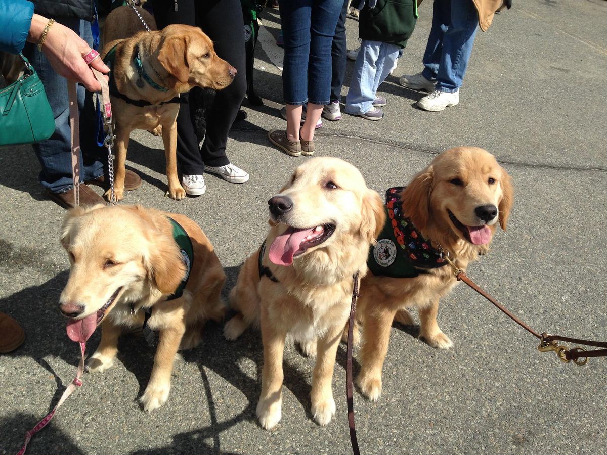 Morristown St patrick day parade