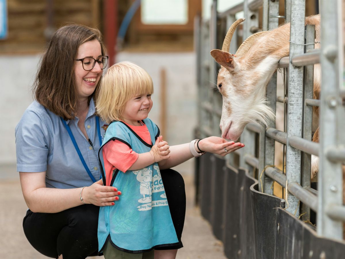 Mead Open Farm Day Nursery & Pre School December Open Day