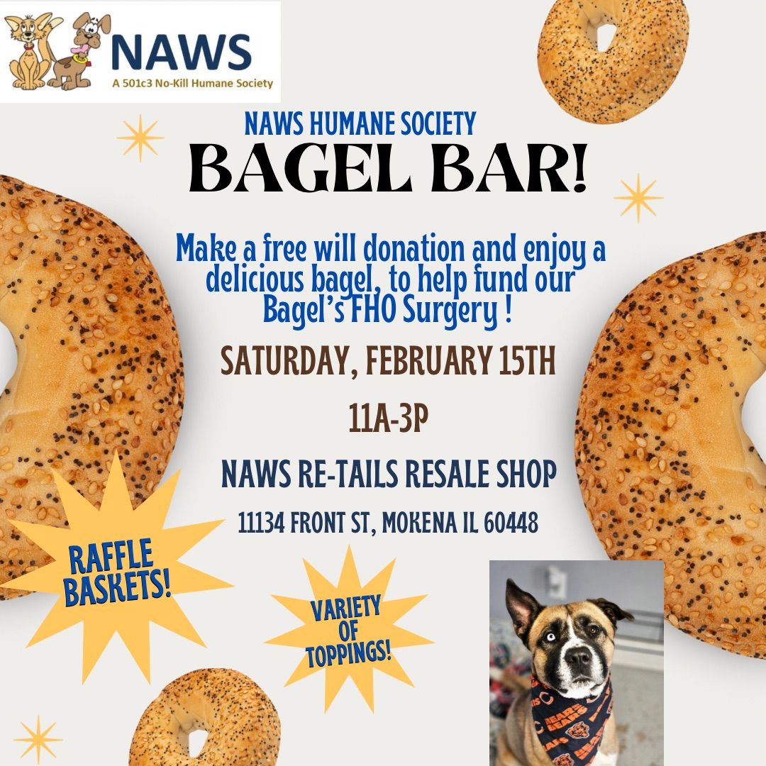 Bagel Bar Fundraiser! 