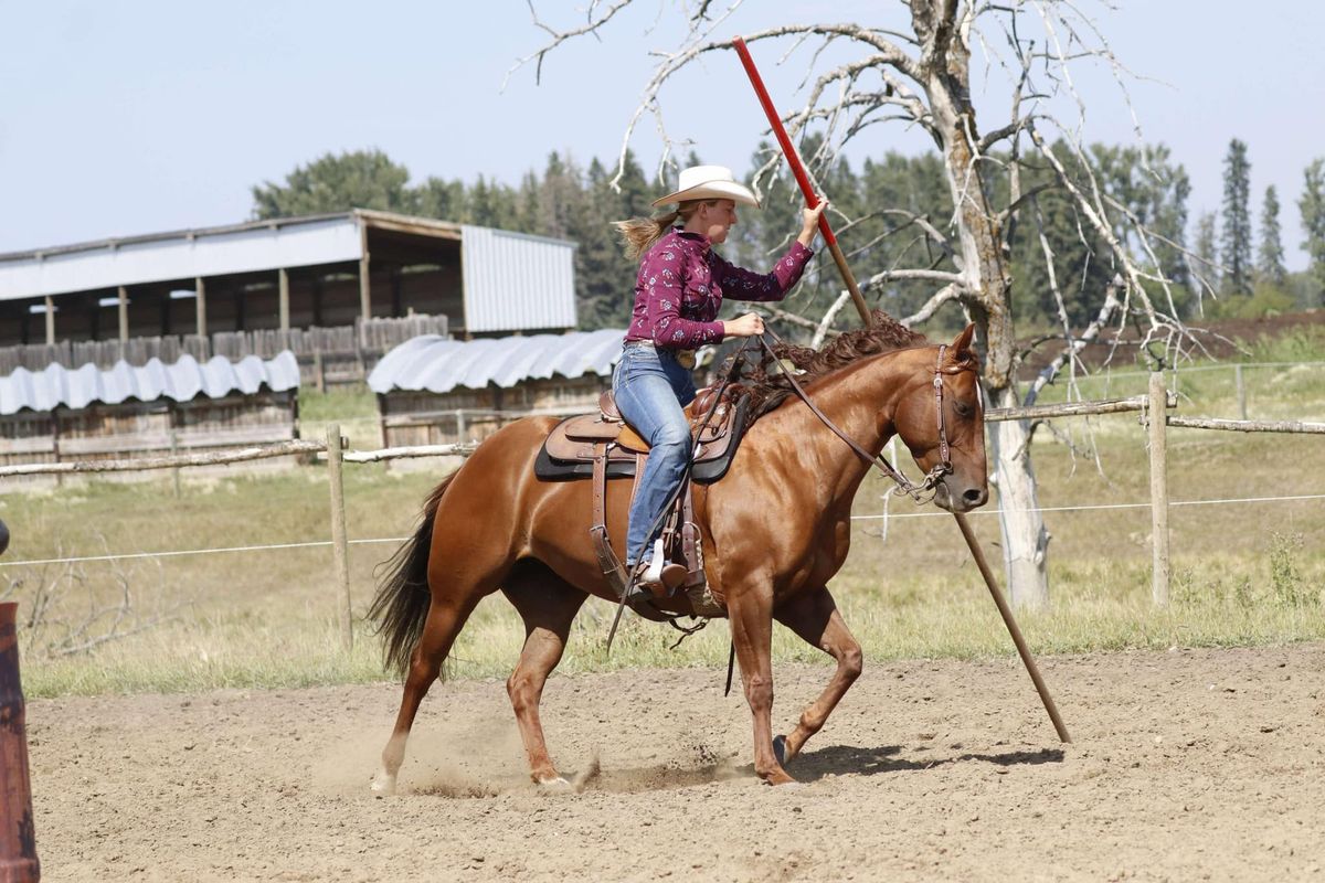 February Obstacles with Nicole 