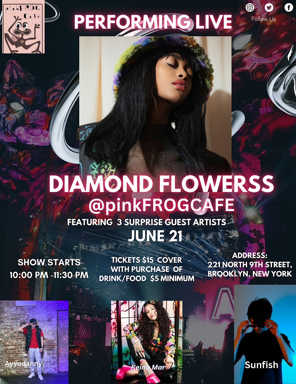 Diamond Flowerss Live at Pink Frog Cafe