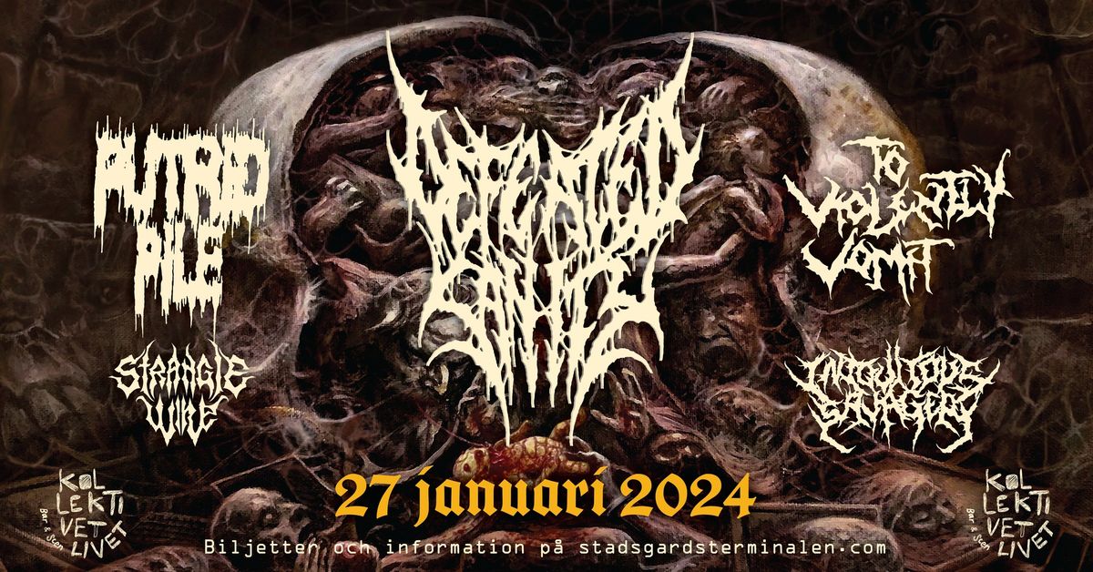 Defeated Sanity + To Violently Vomit + Putrid Pile + Iniquitous Savagery + Strangle Wire | Stockholm