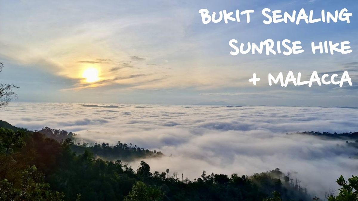 <CONFIRMED> Bukit Senaling Sunrise Hike + Malacca (Registration closes 12\/10\/2024)