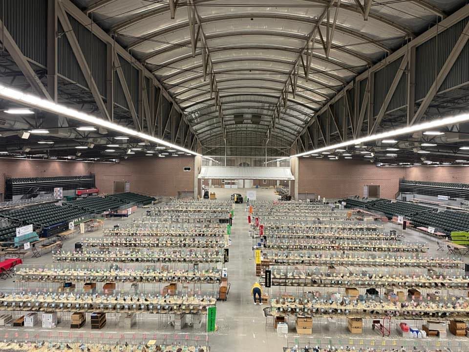 Iowa State Pigeon Association's "Pigeons on the Prairie" Pigeon Show