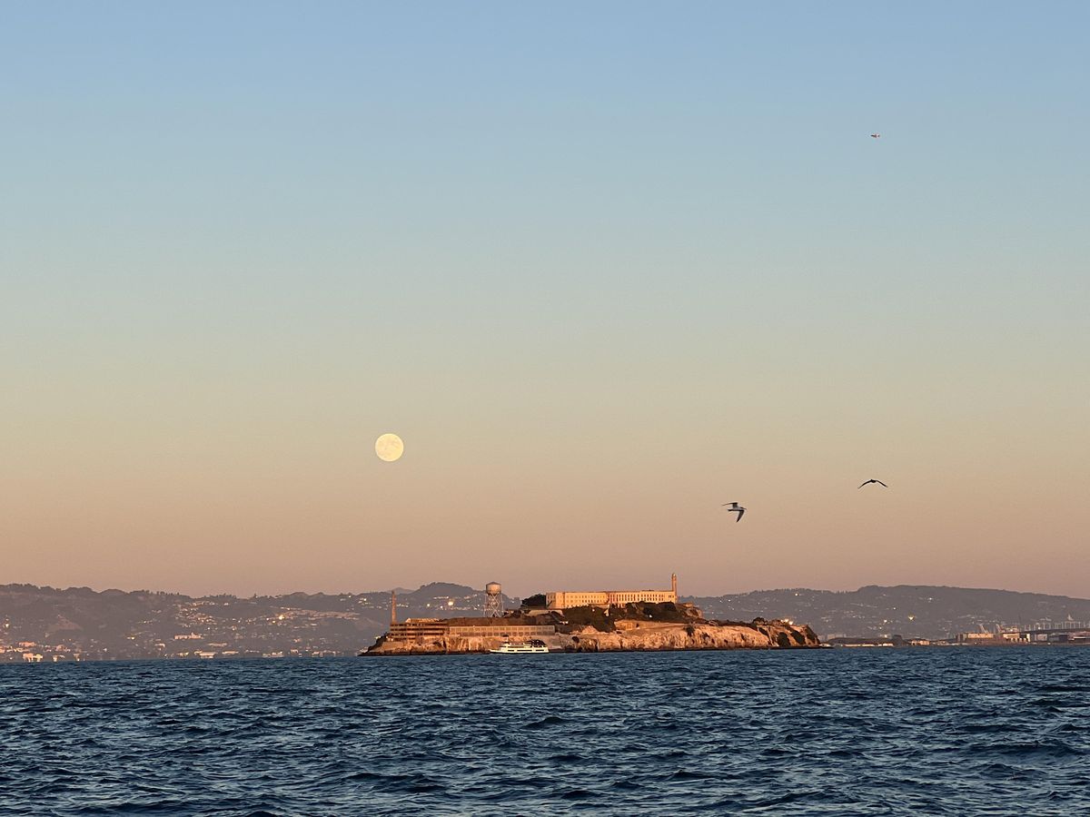 Full Moon November 2024- Sail on San Francisco Bay