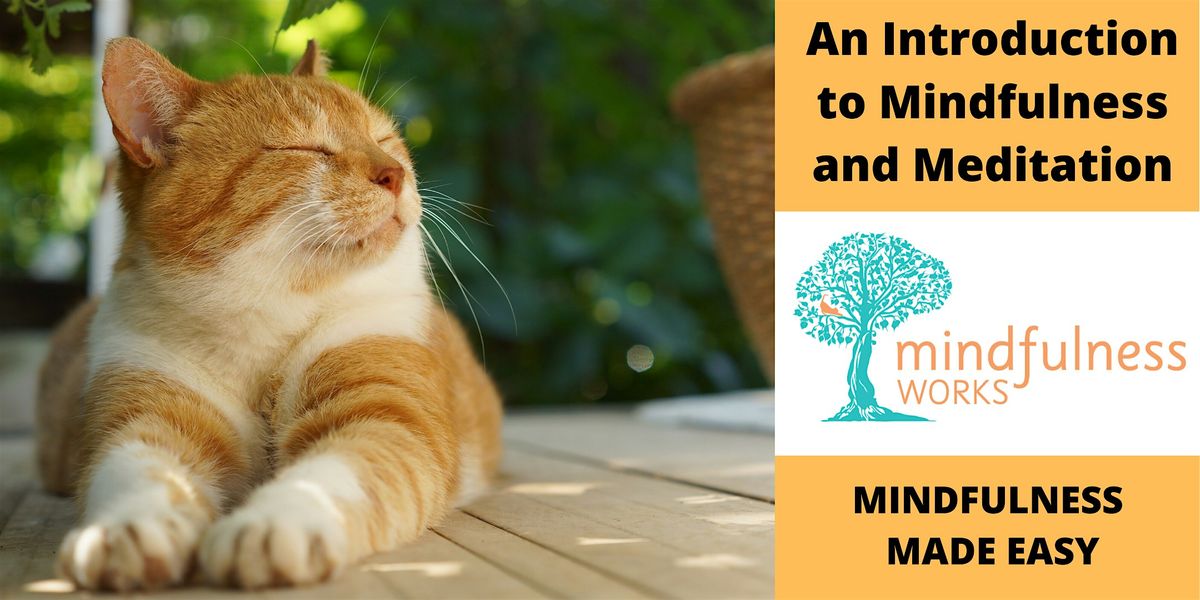 An Introduction to Mindfulness and Meditation 4-week Course \u2014 Montrose