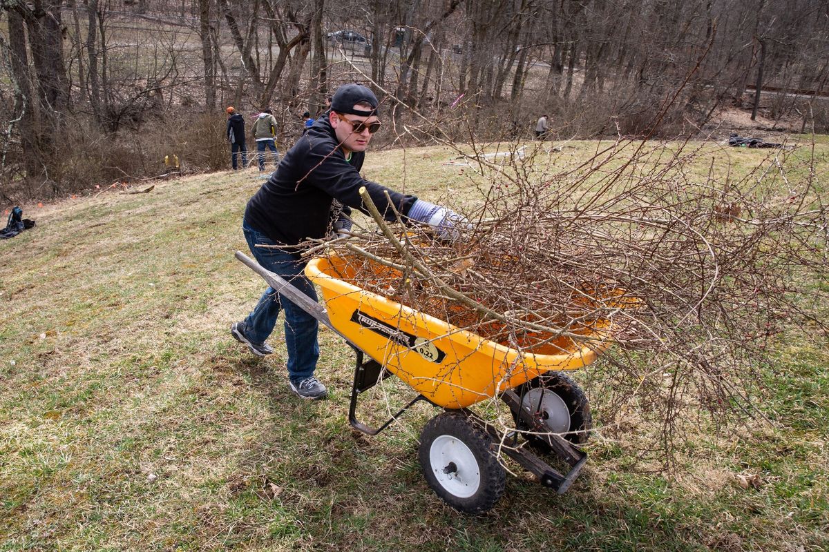 Volunteer Habitat Restoration