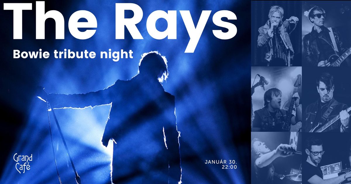 The Rays \u2013 Bowie tribute night