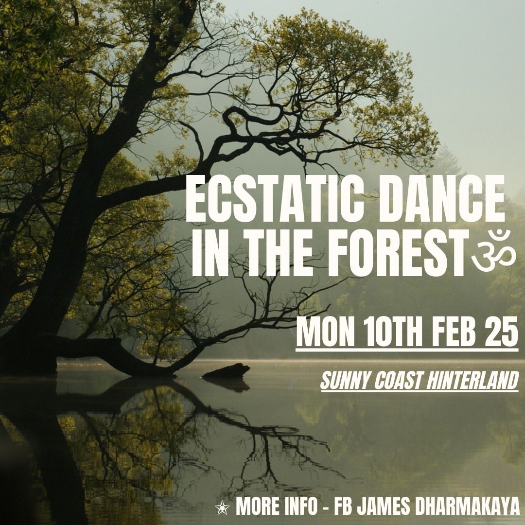 Ecstatic Dance In The Forest \u2721