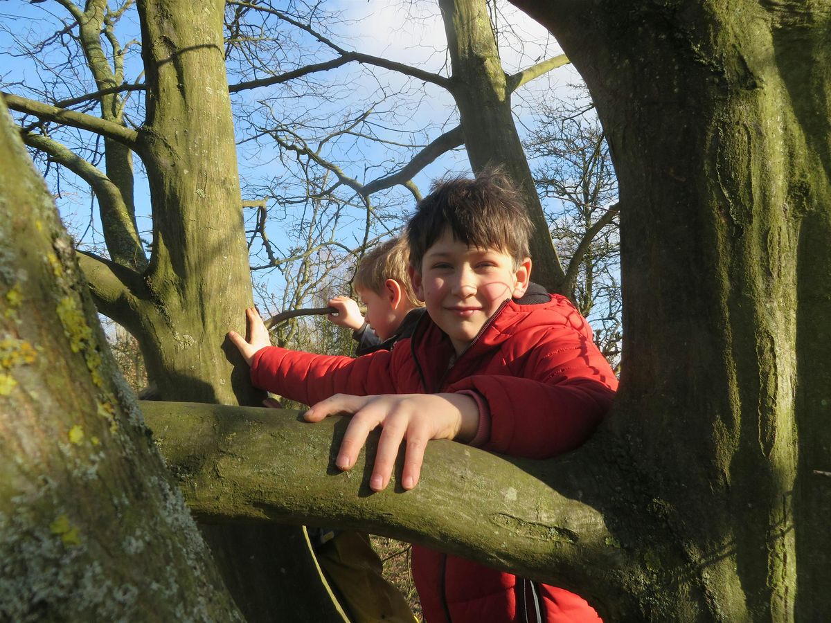 Fingringhoe Forest School Home Education