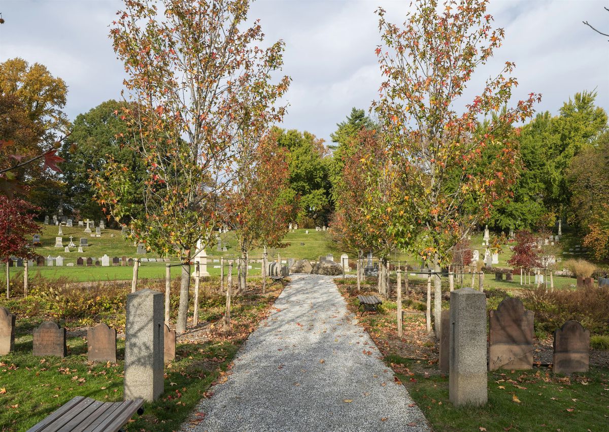 The Past, Present, and Future of the Grave