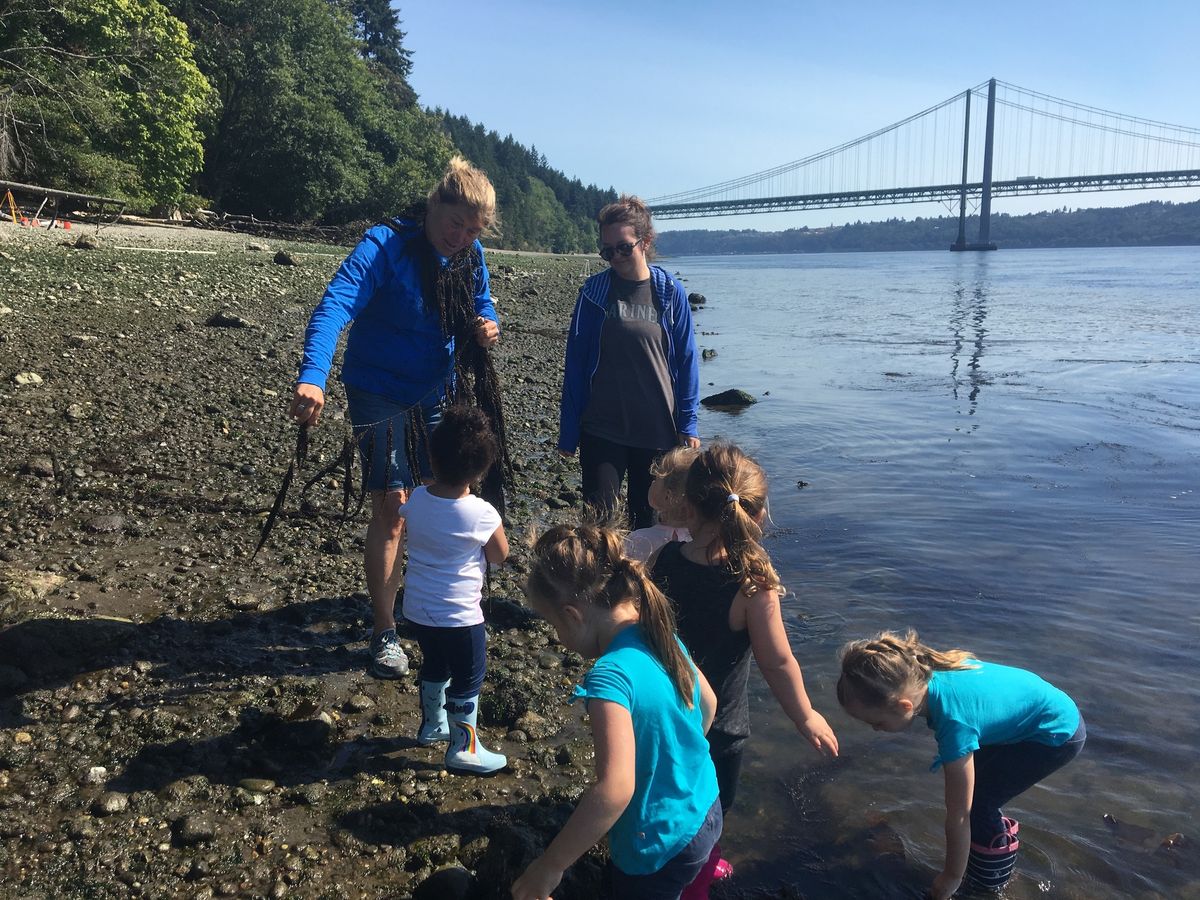 CANCELLED - Narrows Beach Low Tide Tour