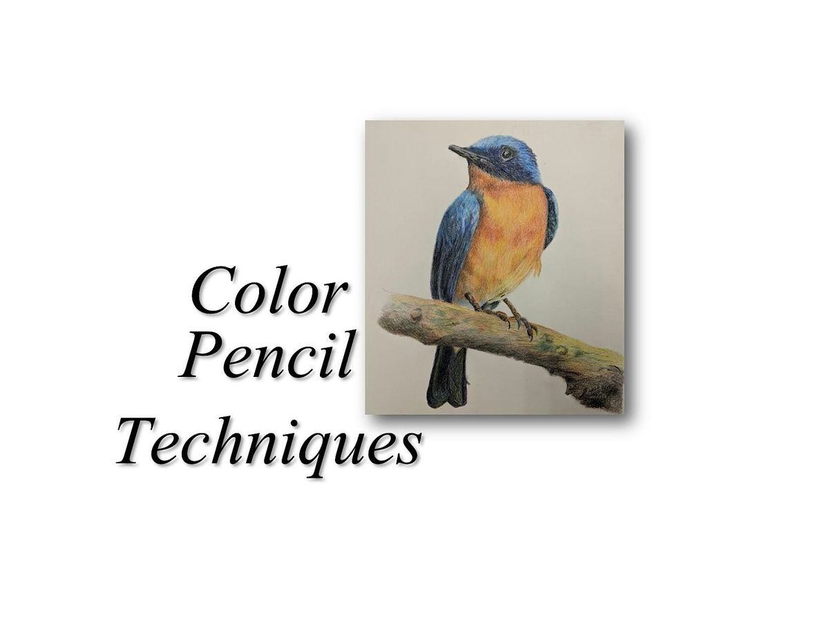Color Pencil Techniques Birds $40 BYO Workshop