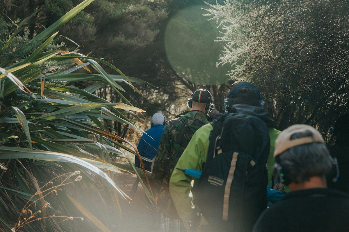 Audio Guided Wellbeing Walk in the Park