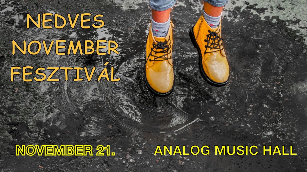 Nedves November - Analog Music Hall