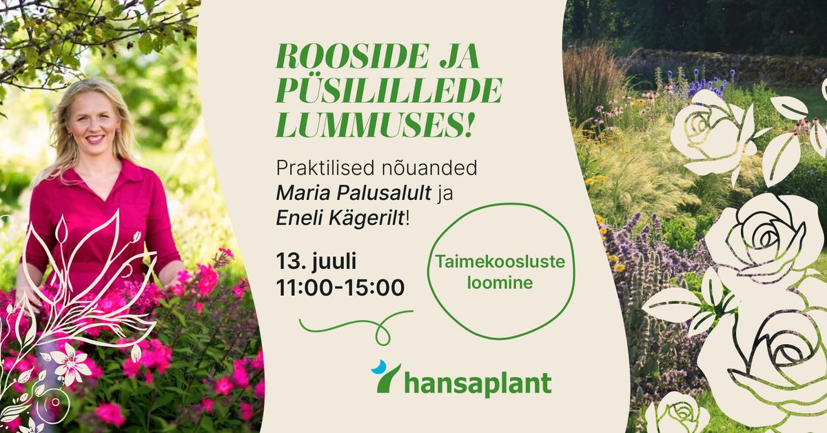 Rooside ja p\u00fcsilillede lummuses!