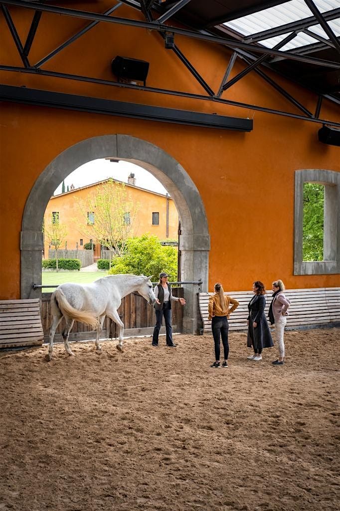 Transformational Learning with Horses (July 2)