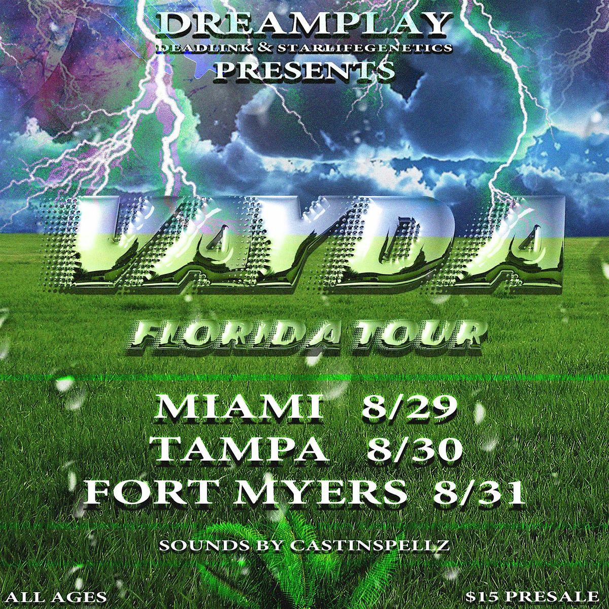 VAYDA TOUR TAMPA