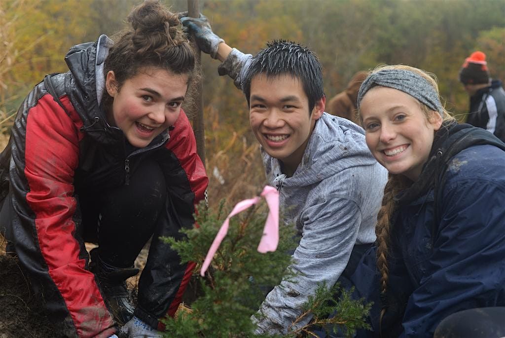 Native Planting Drop In - October 2