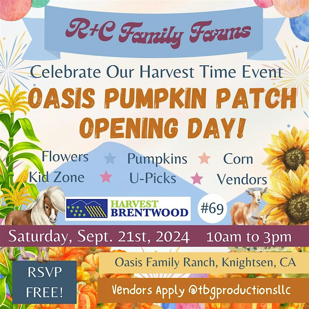 Pumpkin Patch Grand Opening