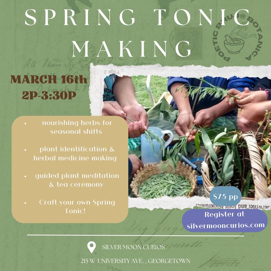 Spring Tonic making - Herbalism Workshop