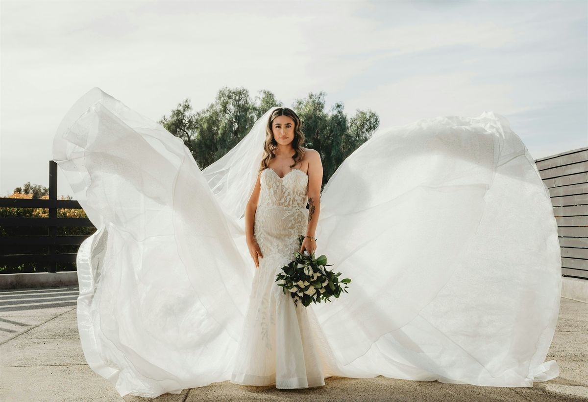 Carlsbad Windmill Wedding Extravaganza