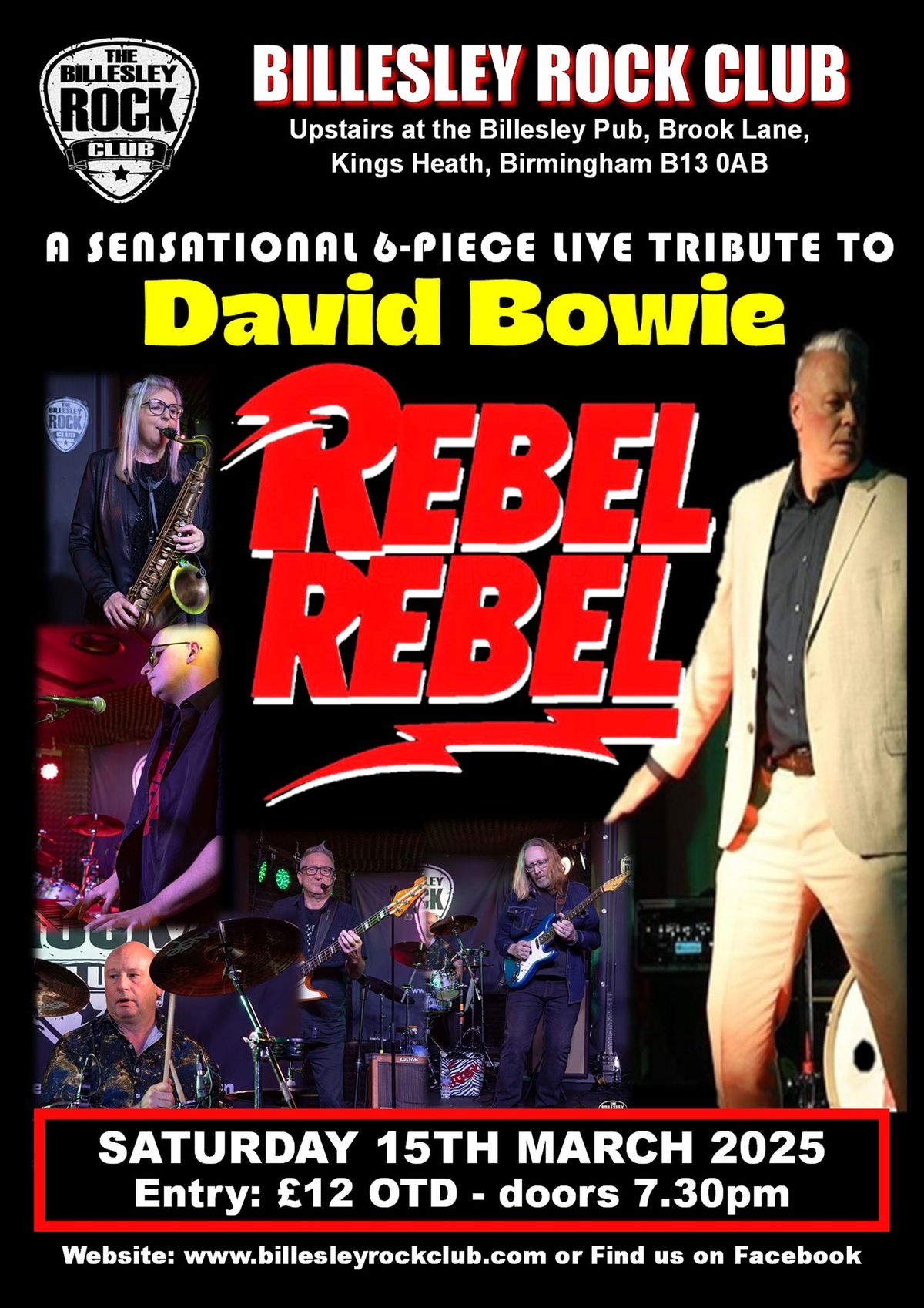 Rebel Rebel - Celebrating the music of David Bowie - \u00a312 OTD