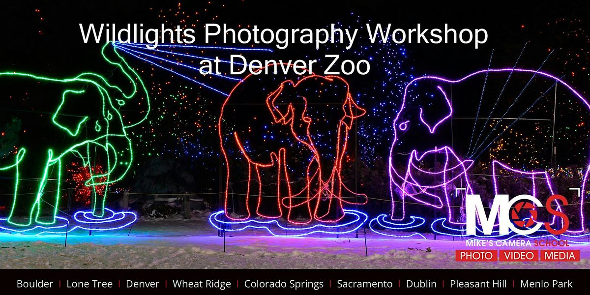 3 Part Wildlights Photography workshop at Denver Zoo