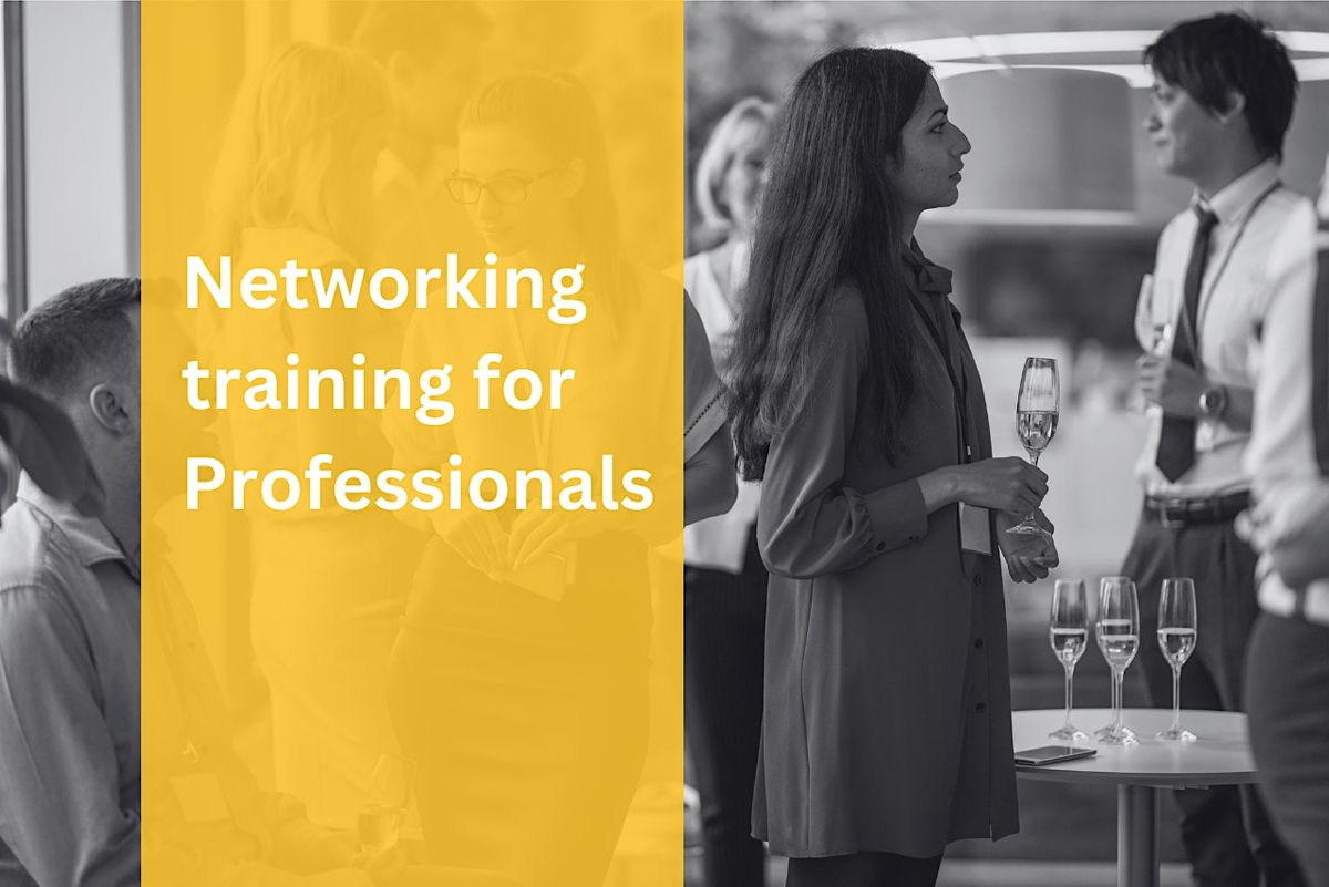 Networking training for Professionals