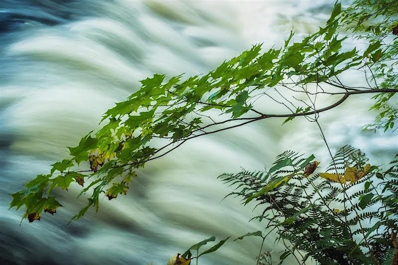 Composition in the Field - Photography Workshop