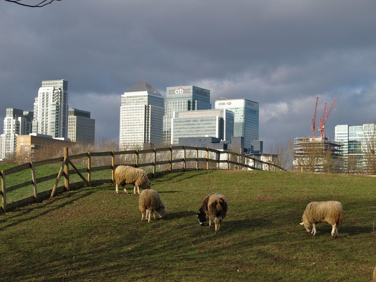 A Rubbish Trip: Isle of Dogs and Greenwich guided walk, 4th May 2024