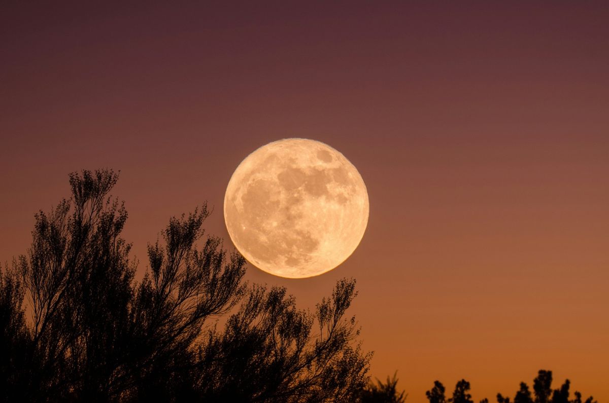 January Full Moon Circle