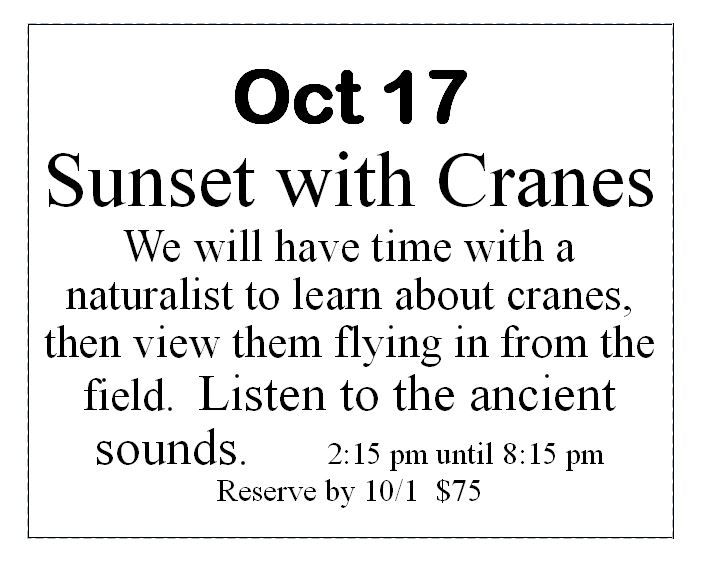 Day trip (evening) Oct 17 - Sunset with Cranes 