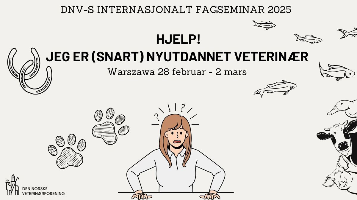 DNV-S Internasjonalt fagseminar 2025 