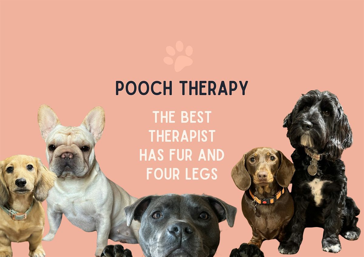 Pooch Therapy Nottingham